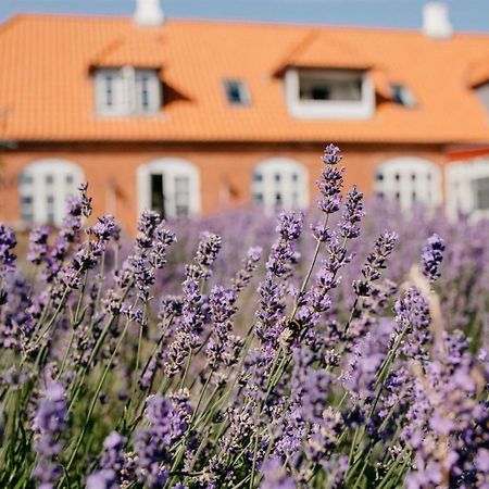 Jungshoved Praestegard B&B Præstø Eksteriør bilde