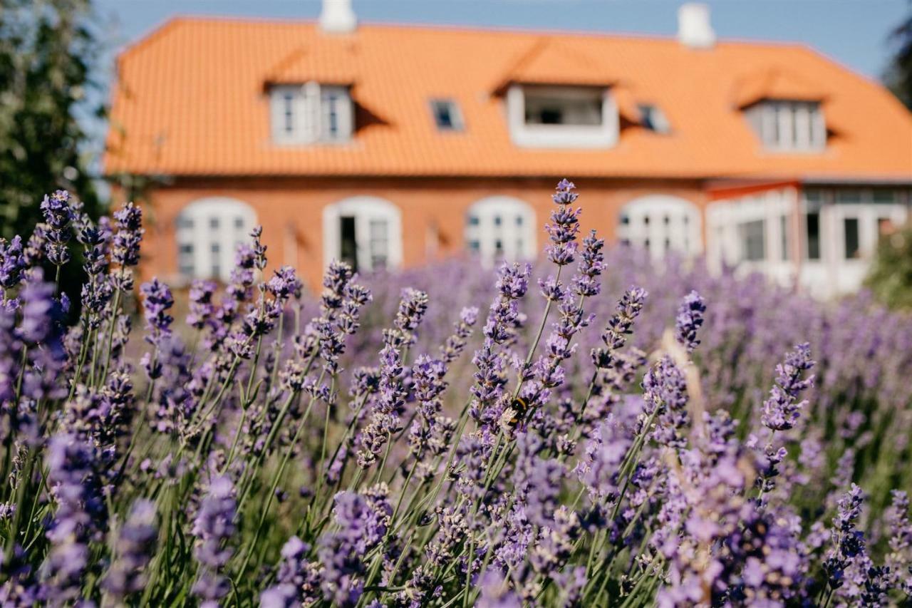 Jungshoved Praestegard B&B Præstø Eksteriør bilde